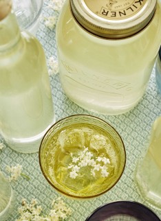 Stephen Harris for The Telegraph Food and Drink - Photography by Andrew Twort