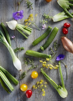 Stephen Harris for The Telegraph Food and Drink - Photography by Andrew Twort